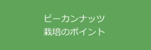 ピーカンナッツ栽培のポイント